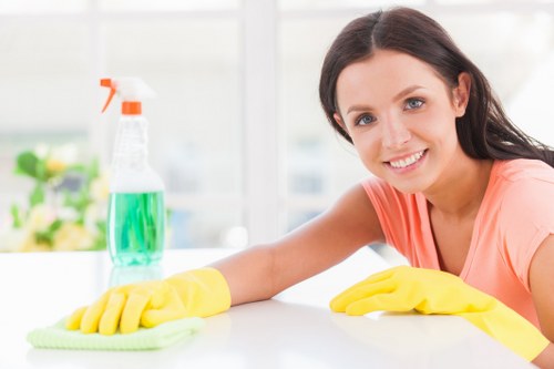 Pet stain odour removal treatment in a New Addington home