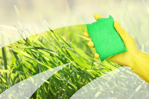 Professional carpet cleaning in a New Addington home