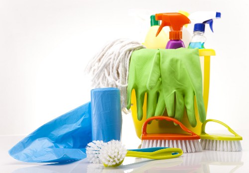 Professional carpet cleaner working carefully in a home