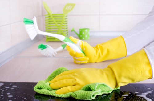 Fresh and clean home after pet stain odour removal service
