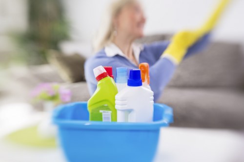 Regular sofa maintenance and freshness in a New Addington household