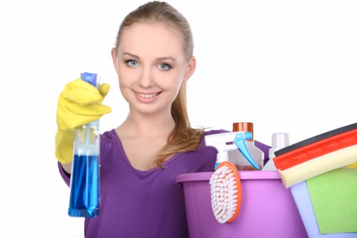 Requesting accessibility support for New Addington Carpet Cleaners online